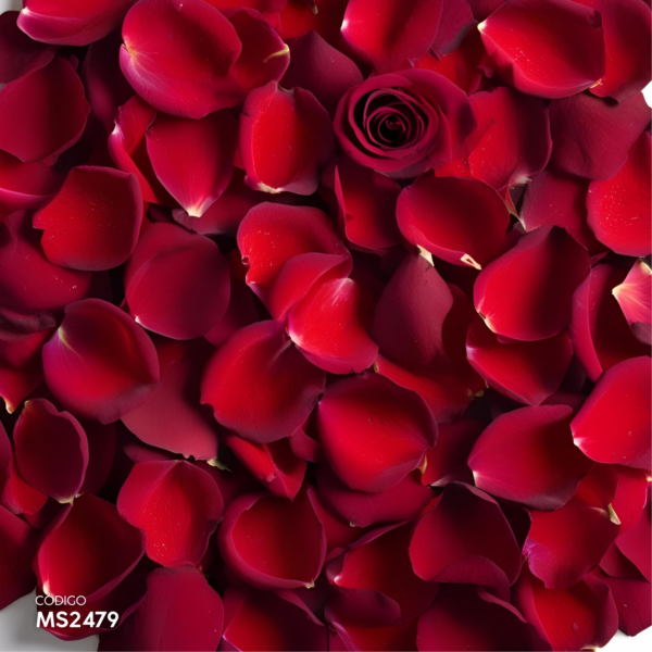 Pétalos de Rosas Naturales