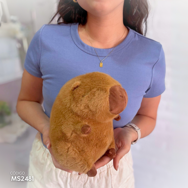 Peluche Capibara 20cm - Image 3