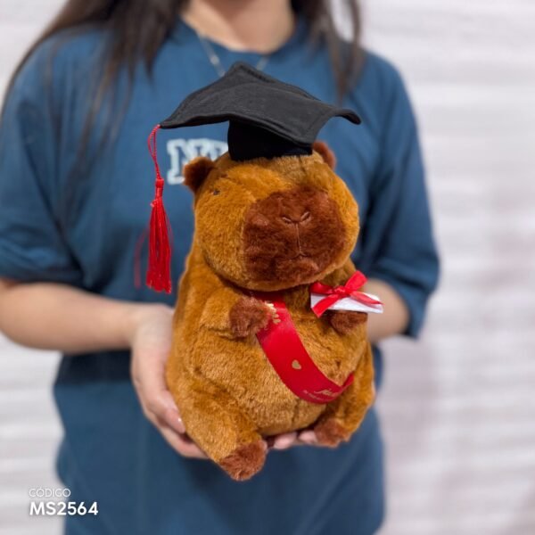 Peluche Capibara Graduado 20cm - Image 3